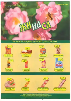 Katalog avgust 2023
