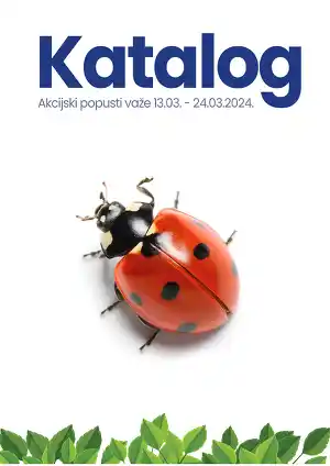 Katalog