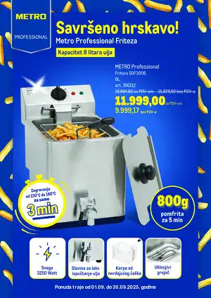 Professional friteza