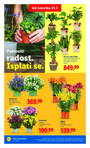 Liflet