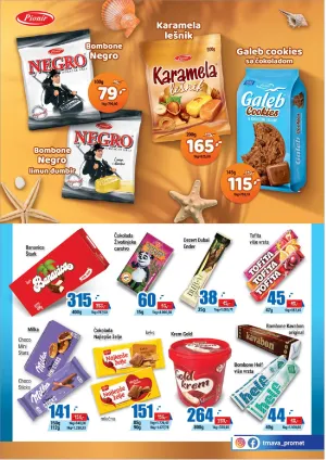 Maloprodajni katalog br 199