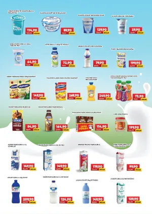 Katalog