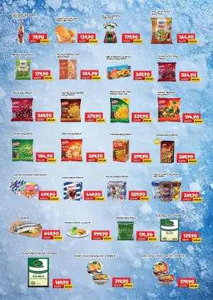 Katalog