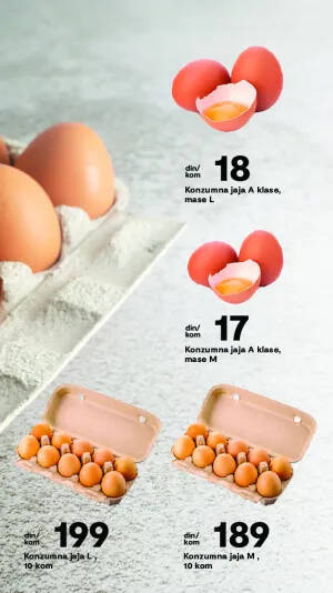 Katalog akcija