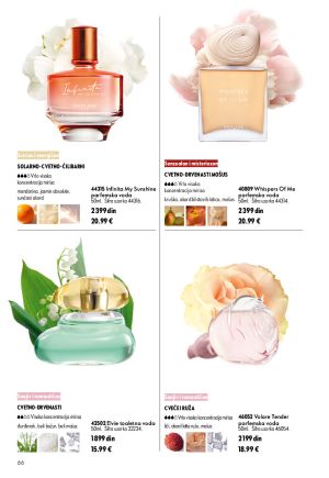 Katalog 11 2026