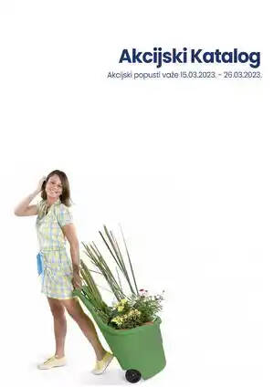 Katalog