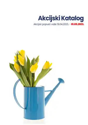 Katalog