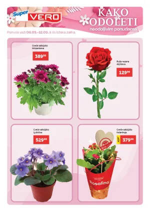 8 mart 2026 liflet