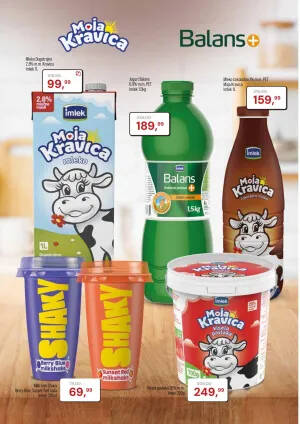 Katalog