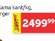 Salama kant/kg, Sorger
