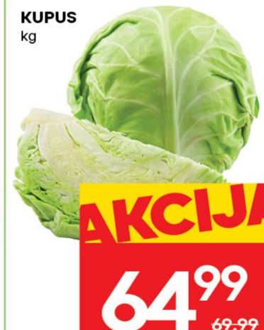 Kupus