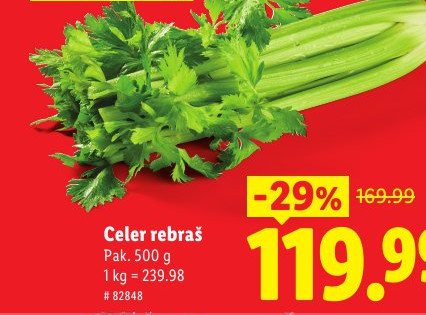 Celer rebraš