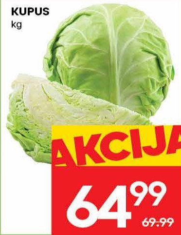 Kupus