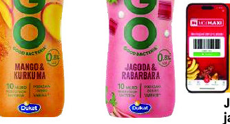 Jogurt mango kurkuma, jagoda rabarbara EGO, 0.33kg