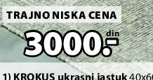 TRAJNO NISKA CENA