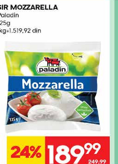 Sir Mozzarella