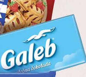 Galeb