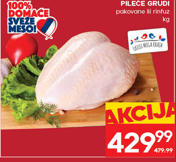 PILEĆE GRUDI