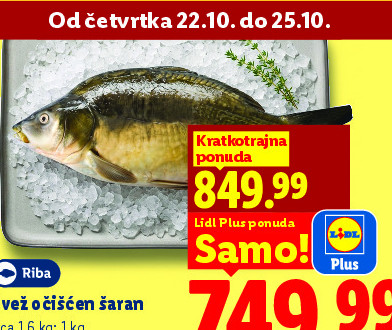 Svež očišćen šaran