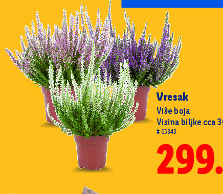 Vresak