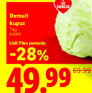 Domaći kupus