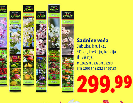 Sadnice voća