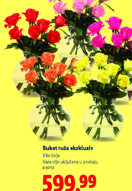 Buket ruža ekskluziv