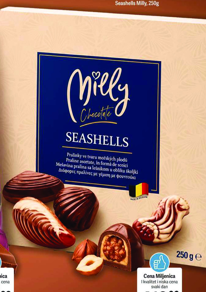 Seashells Milly Chocolate